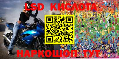 прущие грибы Будённовск