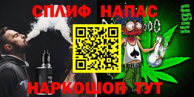 прущие грибы Будённовск