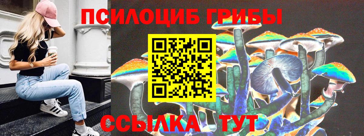 Псилоцибиновые грибы мухоморы Сибай