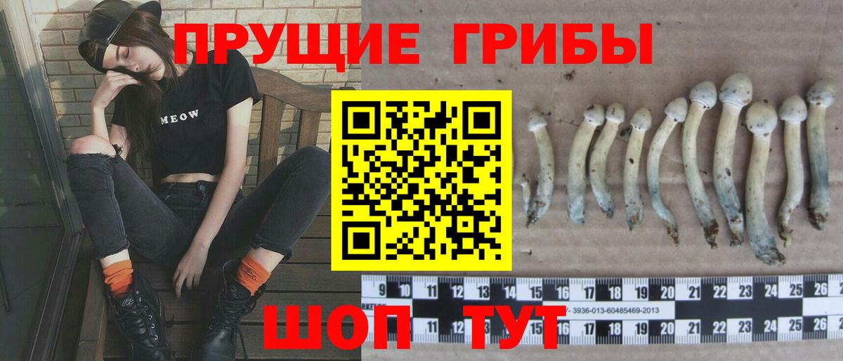 Псилоцибиновые грибы Cubensis  Псилоцибиновые грибы ЛСД  Вход с VPN  Сибай 