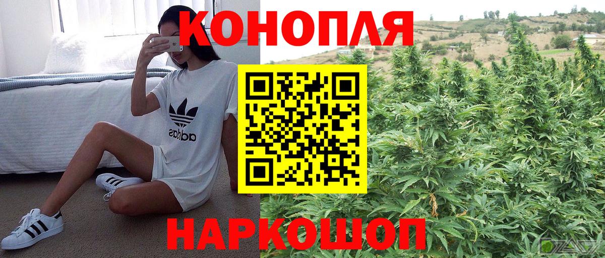 Марихуана гибрид Сибай